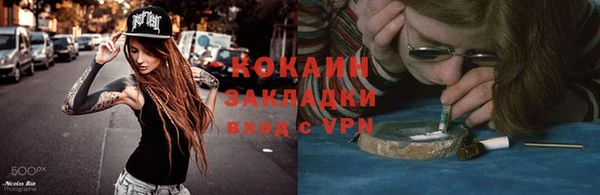молекула духа Осташков