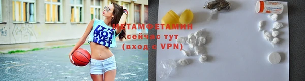 крисы Надым