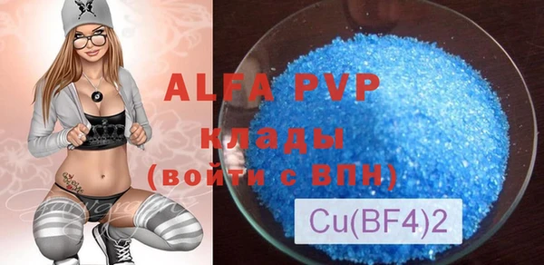 крисы Надым