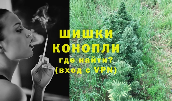 крисы Надым