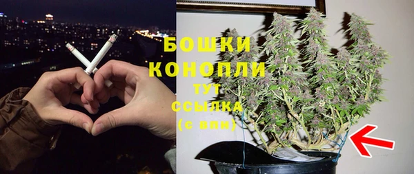 крисы Надым
