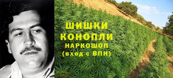крисы Надым