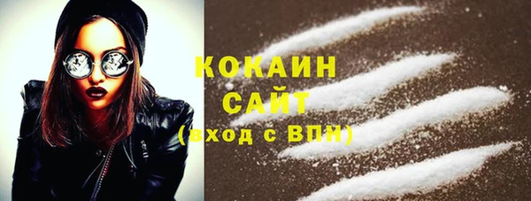 крисы Надым