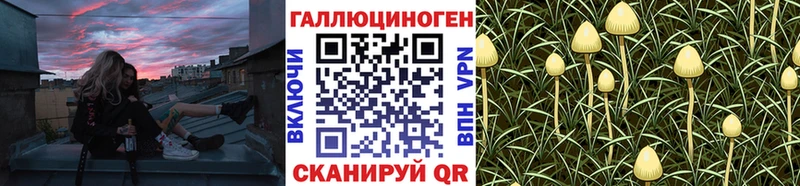 Галлюциногенные грибы мухоморы  как найти наркотики  Касли 
